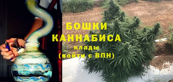 твердый Вяземский
