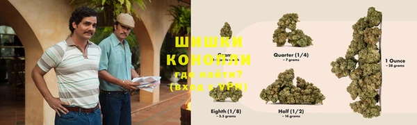 твердый Вяземский