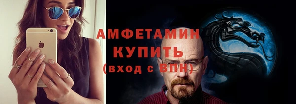 твердый Вяземский