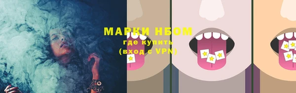 прущие грибы Березники