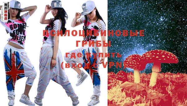 твердый Вяземский