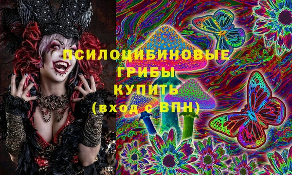 твердый Вяземский