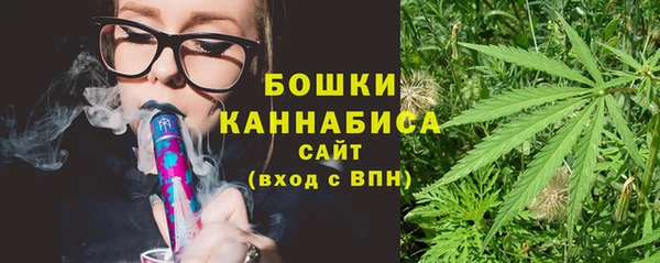 твердый Вяземский