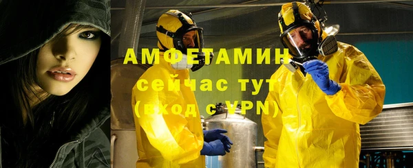твердый Вяземский