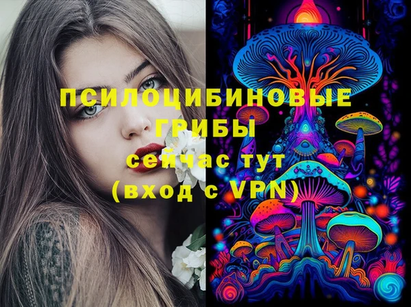 прущая мука Вязники