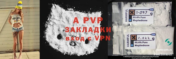твердый Вяземский
