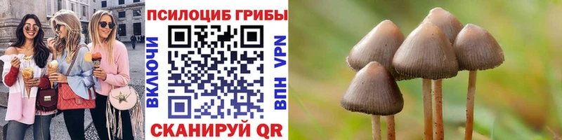 Купить где  Валуйки  Псилоцибиновые грибы Psilocybine cubensis 